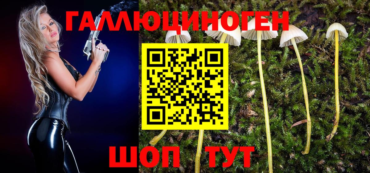 Галлюциногенные грибы Cubensis Касимов