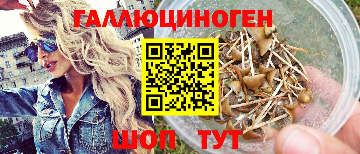 Псилоцибиновые грибы Psilocybine cubensis  Вход с VPN  Касимов 